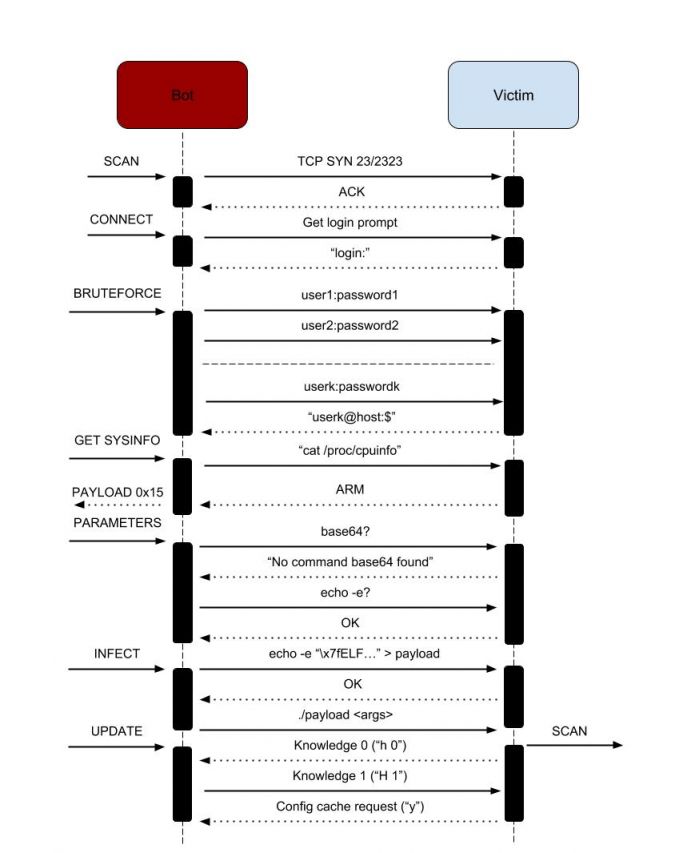 HNS Infection Diagram.jpg