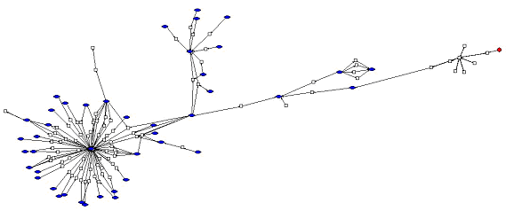 A partial branch of how infected users are connected.