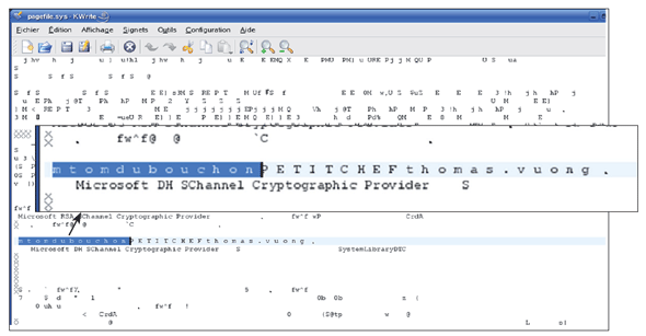 Session login password inside a PAGEFILE.SYS file.