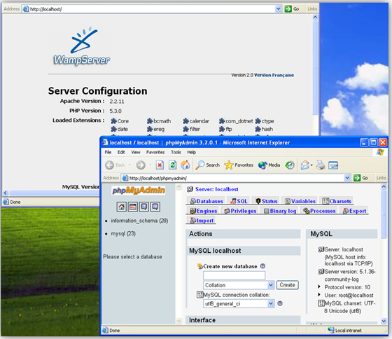 Localhost and phpMyAdmin on a WampServer.