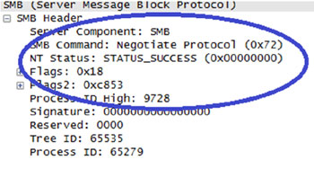 Packet capture for CVE-2009-3103.