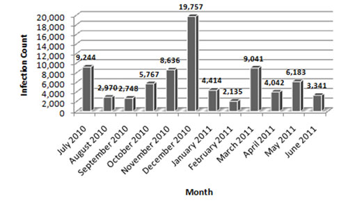 Qakbot infection count, July 2010 – June 2011 (as of 5 June 2011).