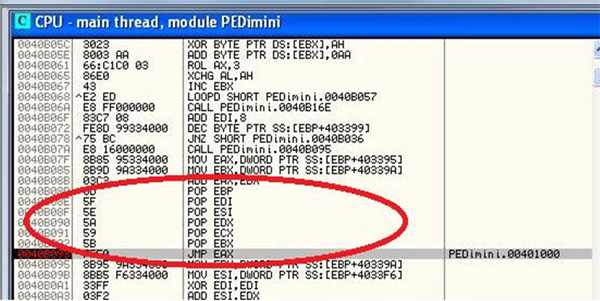 The end instruction for PEDiminisher.