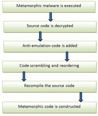 Metamorphic virus execution flow.