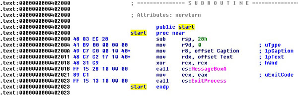 Entry point and main code of the test file.