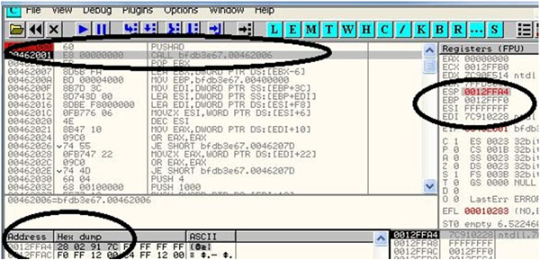 Starting instructions of the packed file.