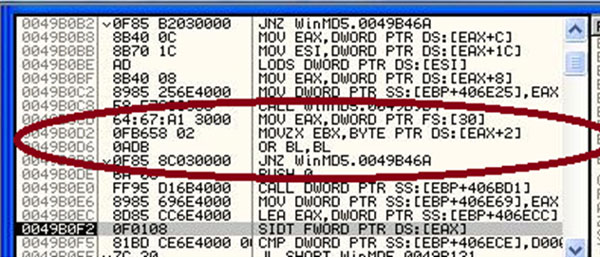 Assembly instructions checking for a debugger.