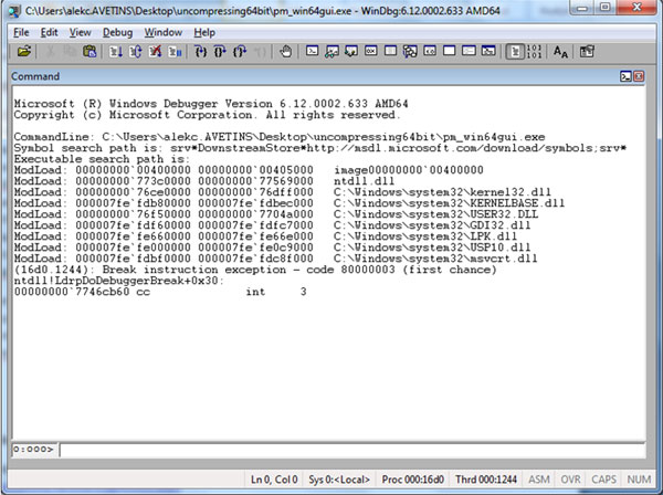 Initial break after opening the executable.