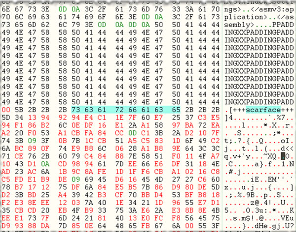 Content of an infected file.