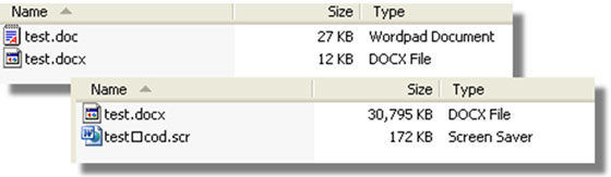 Document files before and after infection.