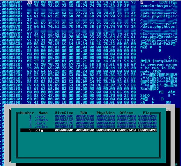 C&C server configuration information