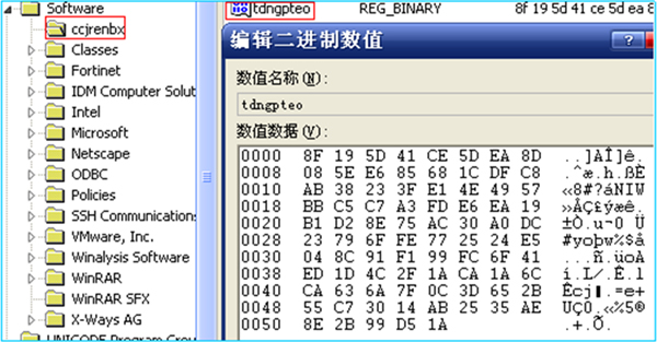 IPPool hex string in the registry.