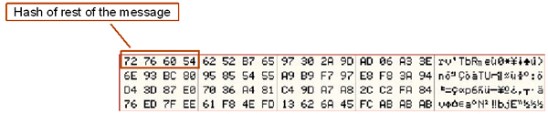 First DWORD of message received containing the CRC32 hash value.