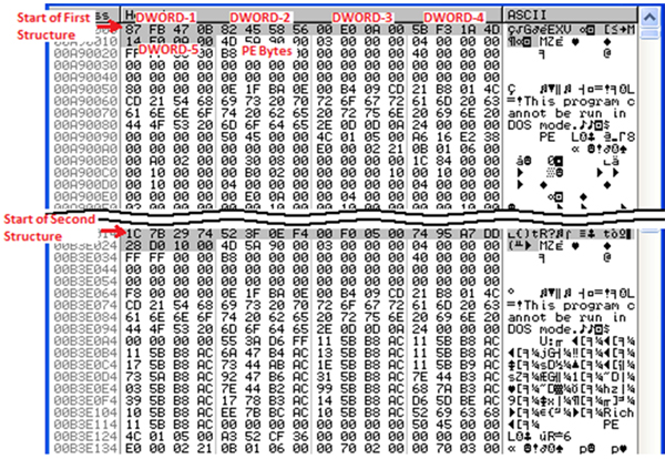 Decoded responses.