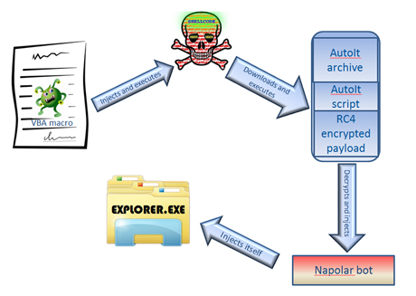 Overview of infection method.