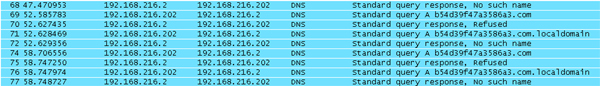 Fake DNS traffic generated by the Citadel bot.
