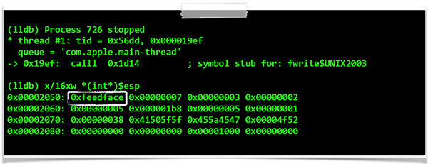 iWorm dropper (within a debugger), writing bytes to JavaW.